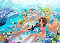  4girls bikini braid breasts brown_hair casual_one-piece_swimsuit caustics cleavage commentary_request dolphin feline ffion fish flippers freediving green_hair grey_hair long_hair mabinogi medium_breasts meles_(mabinogi) meriel multiple_girls one-piece_swimsuit open_mouth photoshop_(medium) pointy_ears ponytail purple_eyes red_eyes swimsuit toro_(konirio) twin_braids underwater vena wardrobe_malfunction 