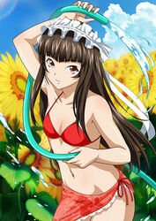  arm_up bikini blue_sky bow breasts brown_eyes brown_hair cleavage closed_mouth cloud collarbone cowboy_shot day female flower groin hair_ribbon hairbow hose ikkitousen long_hair navel outdoors red_bikini ribbon sarong side-tie_bikini_bottom sky small_breasts smile solo standing sunflower swimsuit ten&#039;i_(ikkitousen) very_long_hair white_bow white_ribbon yellow_flower 