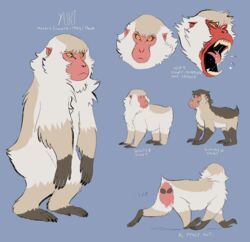  :&lt; ambiguous_gender angry english_text expressions feral haplorhine hi_res japanese_macaque macaque mammal model_sheet monkey nonbinary_(lore) old_world_monkey primate solo spoonfayse summer_coat summer_pelt text winter_coat winter_pelt yuki_(spoonfayse) 