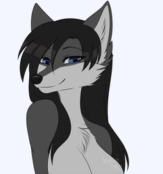  anthro black_hair black_nose blue_eyes bust_portrait canid canine digital_drawing_(artwork) digital_media_(artwork) female fur grey_body grey_fur hair mammal portrait simple_background smile solo taykoe white_background 