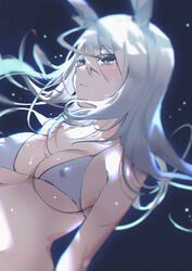  animal_ears arknights bare_shoulders bikini breasts chinese_commentary commentary covered_nipples duplicate female frostnova_(arknights) grey_bikini grey_eyes hair_between_eyes highres long_hair medium_breasts parted_lips pixel-perfect_duplicate rabbit_ears solo stomach swimsuit upper_body white_hair xion32 