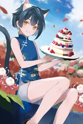  1boy animal_ears bare_legs blue_dress blue_hair cake cat_ears china_dress chinese_clothes dress earrings flower food genshin_impact grey_shorts happy_birthday highres holding holding_plate jewelry male_focus otoko_no_ko plate rrr_gns_(riuriu_1212) short_hair shorts smile solo tassel tassel_earrings teeth xingqiu_(genshin_impact) yellow_eyes 