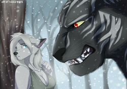  anthro black_body black_fur blue_eyes breasts brown_body brown_fur canid canine clothed clothing detailed_background duo fangs felid female feral fox fur hi_res male mammal multicolored_body multicolored_fur nervous open_mouth pantherine red_eyes size_difference snow tashalisets teeth tiger tongue two_tone_body two_tone_fur white_body white_fur 