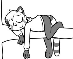  5:4 ailurid anthro clothing digital_media_(artwork) fur male mammal monochrome pokefound red_panda simple_background sleeping smile solo thomas_miles 