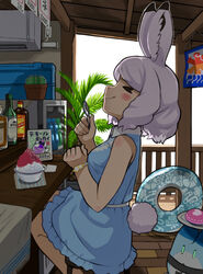  &gt;_&lt; adapted_costume air_conditioner animal_ears arctic_hare_(kemono_friends) bare_shoulders beach_house black_hair blue_dress blush bottle bracelet brain_freeze cactus closed_eyes collared_dress commentary_request dress eating female food frilled_dress frills highres holding holding_spoon innertube japari_bun jewelry kemono_friends lucky_beast_(kemono_friends) multicolored_hair plant potted_plant rabbit_ears rabbit_girl rabbit_tail rinx shaved_ice short_hair sitting sleeveless sleeveless_dress smile solo spoon swim_ring tail tail_through_clothes white_hair 