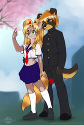 abluedeer anthro asian_clothing canid canine cherry_blossom clothing detailed_background digital_media_(artwork) duo east_asian_clothing female flower japanese japanese_clothing japanese_school_uniform king_of_fighters kingofkof male mammal maya_(skimike) midriff miles_(kingofkof) outside plant romantic romantic_ambiance romantic_couple school_uniform serafuku student tail tree uniform wood