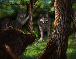 amber_eyes blue_eyes canid canine canis claws detailed_background eye_contact feral flower forest grass group leaf looking_at_another male mammal nature outside plant scenery tidmatiger tree wolf wood