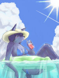 anthro arm_in_water arm_over_edge arms_bent bendy_straw bent_legs beverage bikini biped blush breasts canid canine cleavage clothed clothing cloud drinking drinking_straw drinking_straw_in_mouth feet_in_water female floating fox fully_submerged_tail glass glistening hat headgear headwear inflatable inner_tube knees_together legs_over_edge legs_together mammal outside over_edge partially_submerged pool_toy rigi sitting skimpy sky solo submerged_arm submerged_tail sun sunken_seat supported_legs swim_ring swimwear tail tight_clothing up_and_over water waterline_view