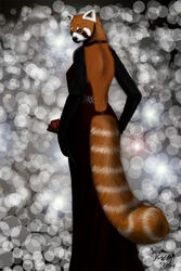 2011 2:3 abstract_background ailurid anthro clothing dress evening female flower foxia glamorous glitter hi_res looking_back mammal nightmare_fuel plant red_panda rose_(flower) simple_background solo soul_devouring_eyes tail