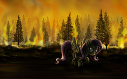 16:10 bloodshot_eyes blue_eyes cloud dcpip detailed_background equid equine feathered_wings feathers female feral fire fluttershy_(mlp) forest forest_fire friendship_is_magic hasbro mammal my_little_pony mythological_creature mythological_equine mythology natural_disaster nature outside pegasus plant quadruped sky solo tail tree wallpaper widescreen wings wood yellow_body yellow_feathers