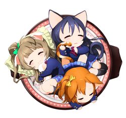  3girls animal_ears blazer blue_hair bow cat_ears cat_tail chibi closed_eyes commentary_request curled_up frilled_pillow frills grey_hair hairbow in_container jacket kemonomimi_mode kosaka_honoka long_hair love_live! love_live!_school_idol_project minami_kotori multiple_girls neko_nabe ng_(kimjae737) one_side_up orange_hair otonokizaka_school_uniform paw_print pillow pot school_uniform simple_background sleeping sonoda_umi tail white_background 