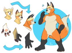  anthro canid canine featureless_crotch fox fur hair male mammal red_fox see-saw solo standing transformation true_fox whiskers 