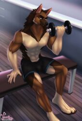  anthro athletic_wear bench bottomwear brown_body brown_fur canid canine canis clothing detailed_background domestic_dog dumbbell exercise fur german_shepherd gym gym_bottomwear gym_shorts herding_dog hi_res looking_at_viewer male mammal muscular muscular_male orange_eyes pastoral_dog shorts sitting smile solo tsarinart weights 