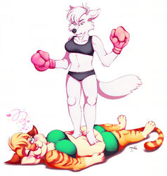  4_toes 5_fingers absurd_res anthro arctic_fox arm_tuft ava_(cavix) belly belly_squish black_eyebrows black_nose blonde_hair blue_eyes blush bottomwear boxing boxing_gloves bra canid canine cheek_tuft chest_tuft clenched_teeth clothing collarbone domestic_cat duo elbow_tuft eyebrows eyelashes facial_tuft feet felid feline felis female female/female fingers foot_on_belly fox fur green_eyes hair half-closed_eyes handwear heart_eyes heart_symbol hi_res inner_ear_fluff looking_down lying mammal markings narrowed_eyes navel on_back one_eye_closed orange_body orange_eyebrows orange_fur panties phantastus pink_nose pink_tongue rose_(cavix) shorts signature simple_background sport sports_bra squish standing_on_belly striped_body striped_fur striped_markings striped_tail stripes tail tail_markings teeth toes tongue tongue_out trampling true_fox tuft underwear whiskers white_background white_body white_fur white_hair 