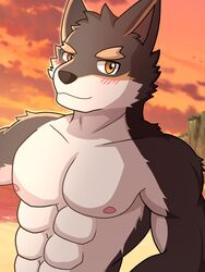  3:4 abs anthro athletic athletic_anthro athletic_male beach canid canine canis domestic_dog dragokaizer666 hi_res knights_college male mammal muscular muscular_anthro muscular_male oscar_lawrence pecs seaside solo sunset 