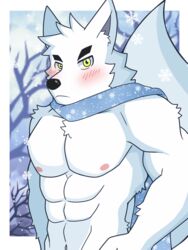  3:4 abs anthro athletic athletic_anthro athletic_male canid canine dragokaizer666 fox hi_res male mammal muscular muscular_anthro muscular_male nipples pecs scarf snow white_body 