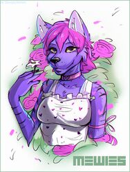  2021 3:4 anthro biped black_nose breasts canid canine clothing collar daisy_(flower) dress female flower fox fur hair heart_symbol hi_res holding_flower holding_object looking_at_viewer mammal mewies pattern_clothing pink_collar pink_hair plant purple_body purple_fur sleepyhelen smile solo 