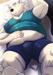  anthro bear bed belly bulge clothing fur furniture hi_res leib_(tas) lifewonders lying male mammal nazebesu_hobby on_back overweight overweight_male polar_bear shirt sleeping solo t-shirt tokyo_afterschool_summoners topwear underwear ursine white_body white_fur 