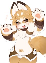  5_fingers ambiguous_gender anthro blush brown_body brown_eyes brown_fur brown_hair canid canine chest_tuft claws fangs femboy fingers fur hair hi_res inari_(mofuaki) kemono male mammal mofuaki multicolored_body multicolored_fur multicolored_hair navel open_mouth simple_background solo teeth tongue tuft two_tone_body two_tone_fur two_tone_hair white_background white_body white_fur white_hair 