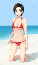  :d barefoot beach bikini black_hair blue_sky breasts collarbone commentary_request commission day female forehead green_eyes highres kneeling large_breasts medium_breasts navel ocean open_mouth original outdoors pixiv_commission red_bikini setu_kurokawa short_hair sky smile solo swimsuit tongue 