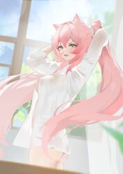  absurdres angry animal_ears annlee blush breasts female hands_up highres hiiro_(vtuber) indie_virtual_youtuber large_breasts long_hair looking_at_viewer open_mouth pink_hair see-through see-through_shirt shirt sunlight very_long_hair white_shirt yellow_eyes 