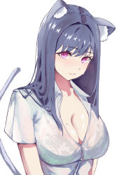  absurdres animal_ear_fluff animal_ears black_hair bra_visible_through_clothes breasts cat_ears cat_girl cat_tail choppy_bangs cleavage collared_shirt commentary_request female hair_intakes highres katagirinanoka large_breasts light_blush light_smile long_hair looking_at_viewer mole mole_on_breast original partially_unbuttoned pink_eyes see-through see-through_shirt shirt short_sleeves simple_background solo sweat tail upper_body white_background white_shirt 