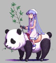  blue_eyes blue_hair commentary_request dress driving female grey_background hat ikamusume jeet panda shinryaku!_ikamusume simple_background solo tentacle_hair what wheel 