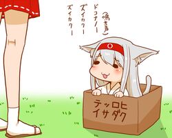  2girls :3 animal_ears box cat_ears cat_tail commentary_request for_adoption hairband in_box in_container japanese_clothes kantai_collection kemonomimi_mode long_hair multiple_girls pleated_skirt red_skirt sandals sento_(iroiro_gottani) shoukaku_(kancolle) skirt tail translated white_hair white_legwear 