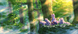  animal_ears backlighting bare_shoulders black_skirt closed_mouth commentary_request day detached_sleeves female fog forest fur hand_on_own_thigh hand_rest hand_up hat holding holding_sword holding_weapon inubashiri_momiji light_rays long_skirt looking_afar multicolored_clothes multicolored_skirt nature outdoors pom_pom_(clothes) red_eyes red_headwear red_skirt ribbon-trimmed_sleeves ribbon_trim scenery shirt short_hair skirt sleeveless sleeveless_shirt squatting sunbeam sunlight sword tail tokin_hat touhou tree wasabichan weapon white_hair white_shirt white_sleeves white_wolf wide_shot wide_sleeves wolf wolf_ears wolf_tail 