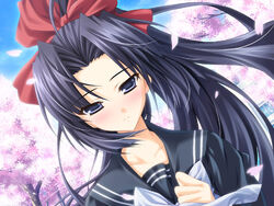  black_hair blush cherry_blossoms female game_cg gift_(game) hokazono_rinka long_hair mitha purple_eyes school_uniform solo 