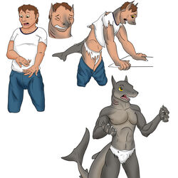  1:1 anthro basic_sequence bottomwear briefs briefs_only claws clothed clothing clothing_loss dorsal_fin fin fish four_frame_image four_frame_sequence fully_clothed fully_clothed_to_topless gills growth hi_res human looking_at_hand male mammal marine membrane_(anatomy) pants sequence shark shirt shocked simple_background snout snout_growth solo standing tail tail_growth tail_growth_in_pants terminotaur thick_tail topless topwear torn_clothing transformation transformation_sequence trifocal_sequence underwear underwear_only webbed_hands 