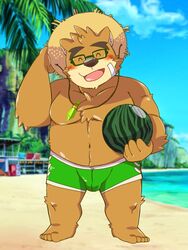  2019 3:4 anthro bear blush brown_body brown_fur bulge bumomomoboa clothing eyewear food fruit fur glasses hat headgear headwear humanoid_hands lifewonders male mammal melon navel outside plant slightly_chubby solo straw_hat swimwear tokyo_afterschool_summoners volos_(tas) watermelon 