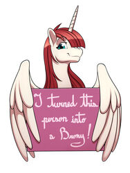  2017 alicorn blue_eyes dogshaming english_text equid equine feathered_wings feathers female freckles_(artist) friendship_is_magic hair hasbro horn lauren_faust_(character) long_hair looking_at_viewer mammal meme my_little_pony mythological_creature mythological_equine mythology reaction_image red_hair sign simple_background smile solo text white_background wings 