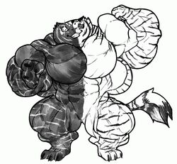  big_muscles disney dreamworks duchess_(aristocats) felid female furry_(artist) fusion huge_muscles hyper hyper_muscles kemono kung_fu_panda mae_borowski mammal master_tigress muscular night_in_the_woods pantherine solo the_aristocats tiger 