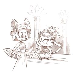  5_fingers anthro blaze_the_cat catbeecache clothing domestic_cat dress duo fan_character felid feline felis female fingers hair jewelry mammal monochrome ponytail sega sonic_the_hedgehog_(series) 