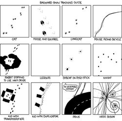  footprint how-to humor longcat meme randall_munroe simple_background transformation unknown_artist white_background xkcd 