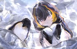  animal_hood bad_id bad_twitter_id bird black_hair black_hoodie expressionless female grey_eyes highres hood hood_down hoodie ice kneeling looking_at_viewer multicolored_hair nijisanji nijisanji_en orange_hair penguin penguin_hood petra_gurin petra_gurin_(1st_costume) short_hair sleeves_past_fingers sleeves_past_wrists streaked_hair virtual_youtuber water yubisaki_(ms16nr) 