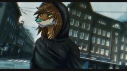  2018 ambiguous_gender anthro biped black_clothing black_hoodie black_topwear blue_nose building callie_(fusby) canid canine clothing detailed_background facial_piercing fox franset green_eyes hoodie looking_at_viewer mammal nose_piercing nose_ring outside piercing raining ring_piercing septum_piercing sky solo standing sweater topwear 