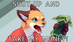  16:9 anthro black_body black_fur black_nose blue_eyes canid canine cheek_tuft clothing color_fox comedy_central english_text facial_tuft fluffy fox fur fur_tuft futurama head_tuft hi_res holding_money holding_object inner_ear_fluff male mammal meme money open_mouth orange_body orange_fur philip_j._fry reaction_image red_clothing red_tongue shut_up_and_take_my_money solo tan_body tan_fur text tongue tuft widescreen 