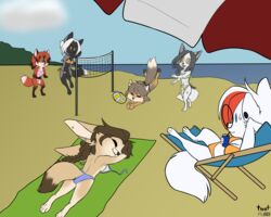  anthro arctic_fox arctica_(vixen_logic) ball beach beach_chair beach_towel beach_umbrella beverage_can bikini black_bikini black_body black_clothing black_fur black_nose black_swimwear blue_eyes bodily_fluids braided_hair breasts brown_body brown_fur brown_hair canid canine cheek_tuft cleavage clothed clothing cloud colored day digital_media_(artwork) dipstick_ears dipstick_hair dipstick_tail drinking ear_markings ear_piercing ear_ring eyewear facial_tuft female fennec_fox ferra_(vixen_logic) flat_colors fox foxboy83 fur glasses gloves_(marking) green_bikini green_clothing green_eyes green_swimwear grey_body grey_fur grey_hair group hair hi_res highlights_(coloring) jumping leg_markings long_hair lying mammal marble_(vixen_logic) marble_fox markings midriff multicolored_ears navel net on_front orange_bikini orange_clothing orange_eyes orange_swimwear outside parasol partially_clothed piercing pink_bikini pink_clothing pink_swimwear ponytail purple_bikini purple_clothing purple_swimwear red_(vixen_logic) red_body red_fox red_fur red_hair red_highlights ring_piercing round_glasses sea seaside short_hair silver_(vixen_logic) silver_fox sitting sky socks_(marking) sport standing sunbathing sweat sweatdrop swimwear tail tail_markings tan_body tan_fur tibetan_sand_fox tied_hair tootaloo towel true_fox tuft two-piece_swimsuit untied_bikini vixen_logic volleyball volleyball_(ball) volleyball_net water white_body white_fur white_hair yellow_eyes zerda_(vixen_logic) 