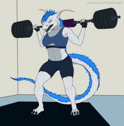  abs angry anthro barbell belly bottomwear bra breasts christa_(rebeldragon101) claws cleavage clothed clothing dragon exercise fangs feet female flexing flexing_bicep flexing_both_biceps flexing_muscles gym hi_res leg_muscles muscular mythological_creature mythological_scalie mythology open_mouth rebeldragon101 scalie shorts side_boob snarling solo sports_bra spread_legs spreading squats tail teeth thick_thighs tongue topwear under_boob underwear weightlifting weights workout workout_clothes workout_clothing workout_equipment workout_gloves workout_outfit 