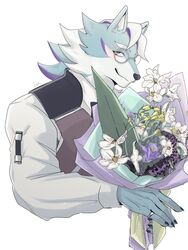  2023 absurd_res anthro blue_body blue_fur bouquet canid canine canis clothing esperdica eyewear flower fur glasses hi_res izm_rm7 lifewonders live_a_hero looking_at_viewer male mammal plant purple_body purple_fur shirt solo topwear vest white_body white_fur wolf 