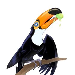  1:1 ambiguous_gender avian beak bird branch eating feet feral food fruit hi_res krossan_(artist) plant simple_background solo talons toes toucan white_background 