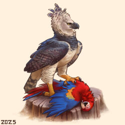  2025 accipitrid accipitriform alexpahomov ara_(genus) avian bird black_claws blue_body blue_feathers claws corpse death duo eagle feathers feet feral fur grey_body grey_feathers grey_markings grey_wings harpy_eagle head_tuft hi_res macaw markings multicolored_body multicolored_fur neotropical_parrot on_stump parrot red_body red_feathers scarlet_macaw simple_background standing_on_corpse tree_stump true_parrot tuft white_background white_body white_facial_markings white_feathers wings yellow_body yellow_feathers yellow_feet yellow_legs yellow_talons 
