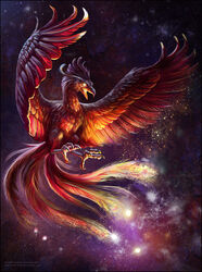  avian detailed_background dust european_mythology feathered_wings feathers feral fire galaxy glistening greek_mythology light magic mythical mythological_avian mythological_bird mythological_creature mythological_firebird mythology phenix phoenix red-izak solo star wings 