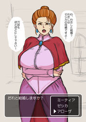  breasts dragon_quest dragon_quest_viii earrings female kisuu large_breasts mature milf orange_hair rosalind_albert translation_request 