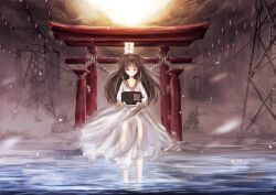  arufa brown_hair dress hijiri_byakuren petals see_through touhou water 