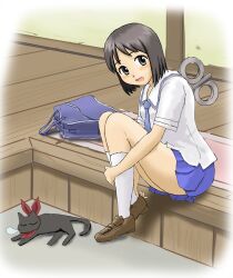  bag black_cat black_eyes black_hair border commentary_request fading_border feline female kamosikayasyamoji looking_at_viewer necktie nichijou nose_bubble open_mouth putting_on_shoes sakamoto_(nichijou) school_uniform shinonome_nano shoes short_hair sitting skirt sleeping socks solo tokisadame_school_uniform winding_key 