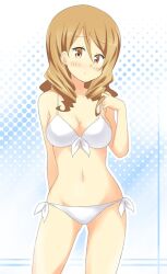  bikini breasts brown_eyes brown_hair cleavage commentary_request dekosuke drill_hair extra female front-tie_top k-on! long_hair medium_breasts navel side-tie_bikini_bottom solo swimsuit tachibana_himeko 