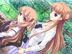  2girls breasts brown_hair collarbone flower game_cg grass highres komori_kei large_breasts long_hair looking_back looking_down mireille_marres_ascot multiple_girls noel_marres_ascot purple_eyes sitting small_breasts smile standing walkure_romanze_re:tell wheelchair 